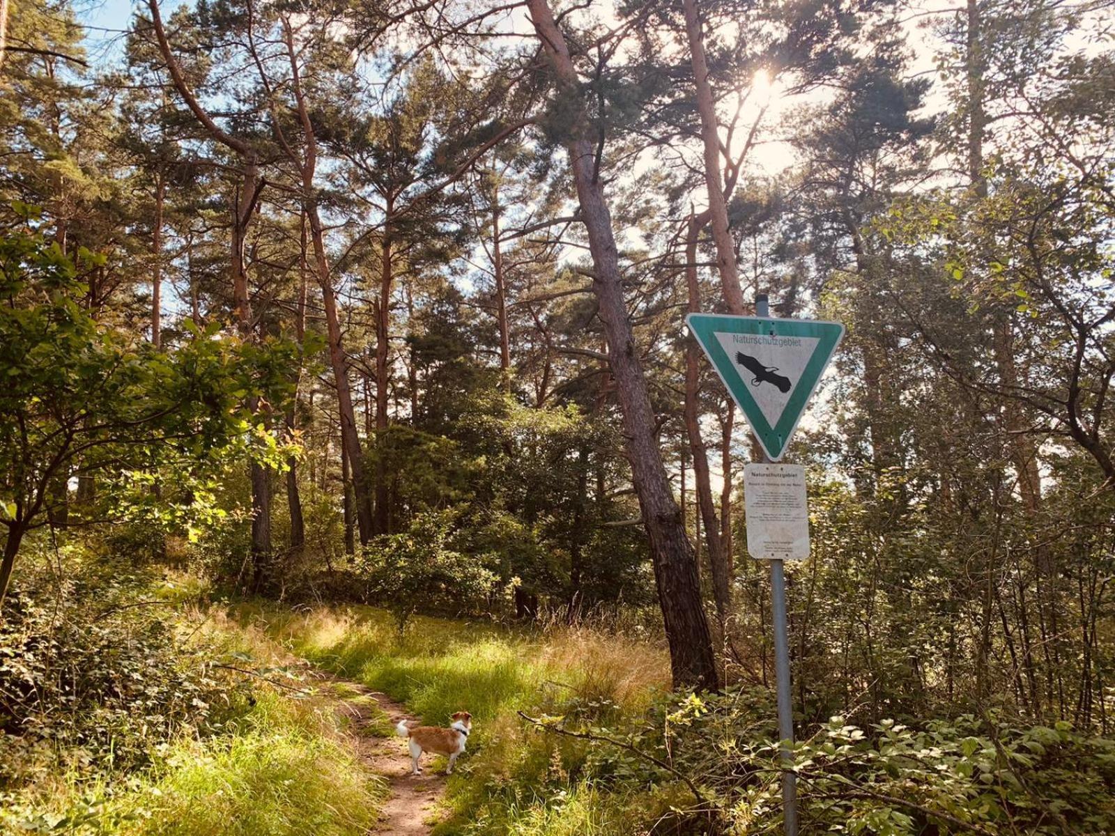 Am Engelsblick - Eifel Direkt Vor Der Tuer *